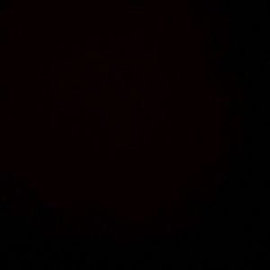 Meet your Posher, Lilia